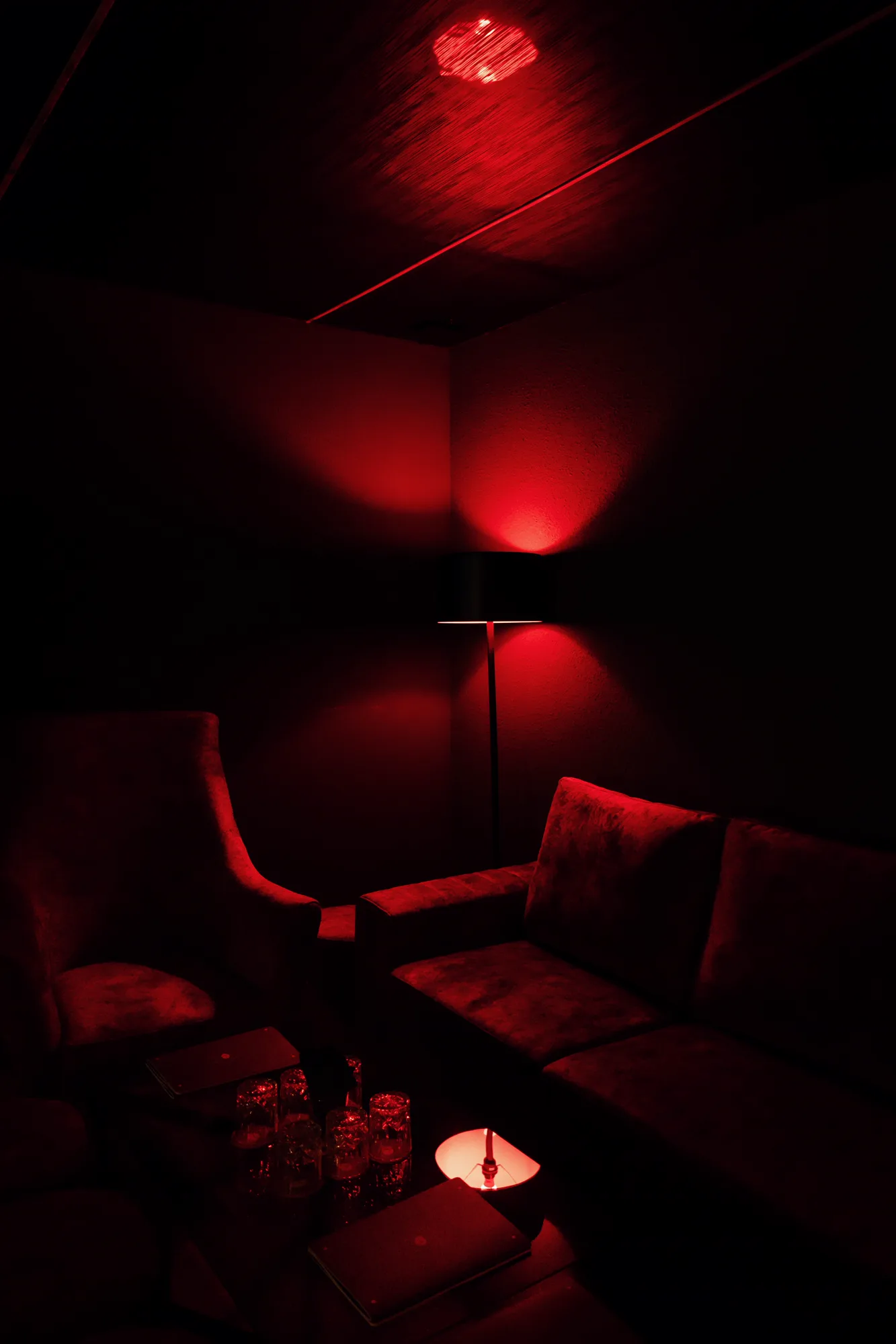 Desire — project photograph