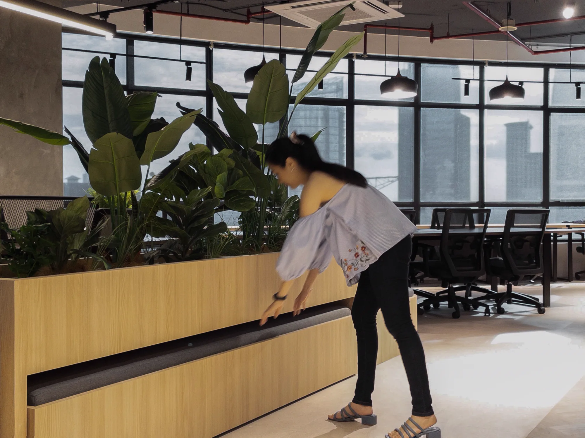 PJX — project photograph